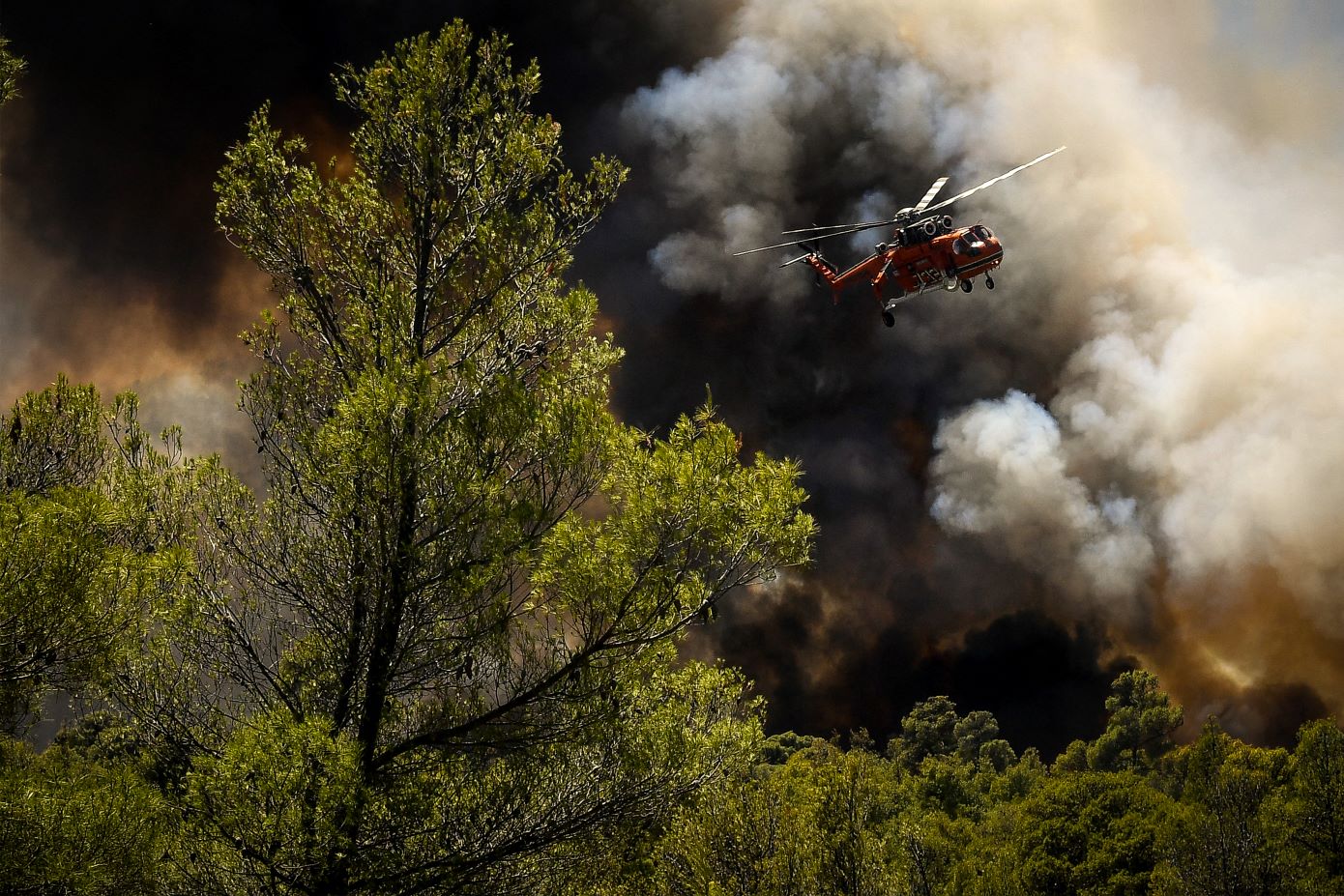 Φωτιά στη δασική έκταση της Ξάνθης κινητοποιεί δυνάμεις και προειδοποιεί τους πολίτες