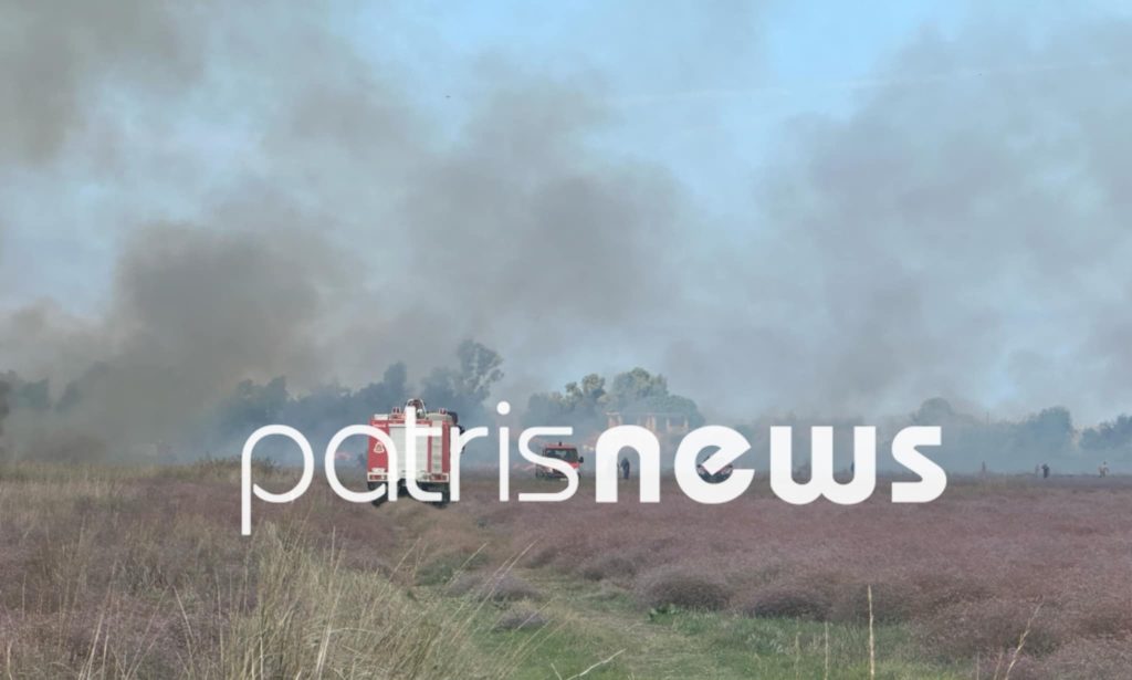 Φωτιά στην περιοχή Μπρίνια Μανωλάδας με επέμβαση της πυροσβεστικής