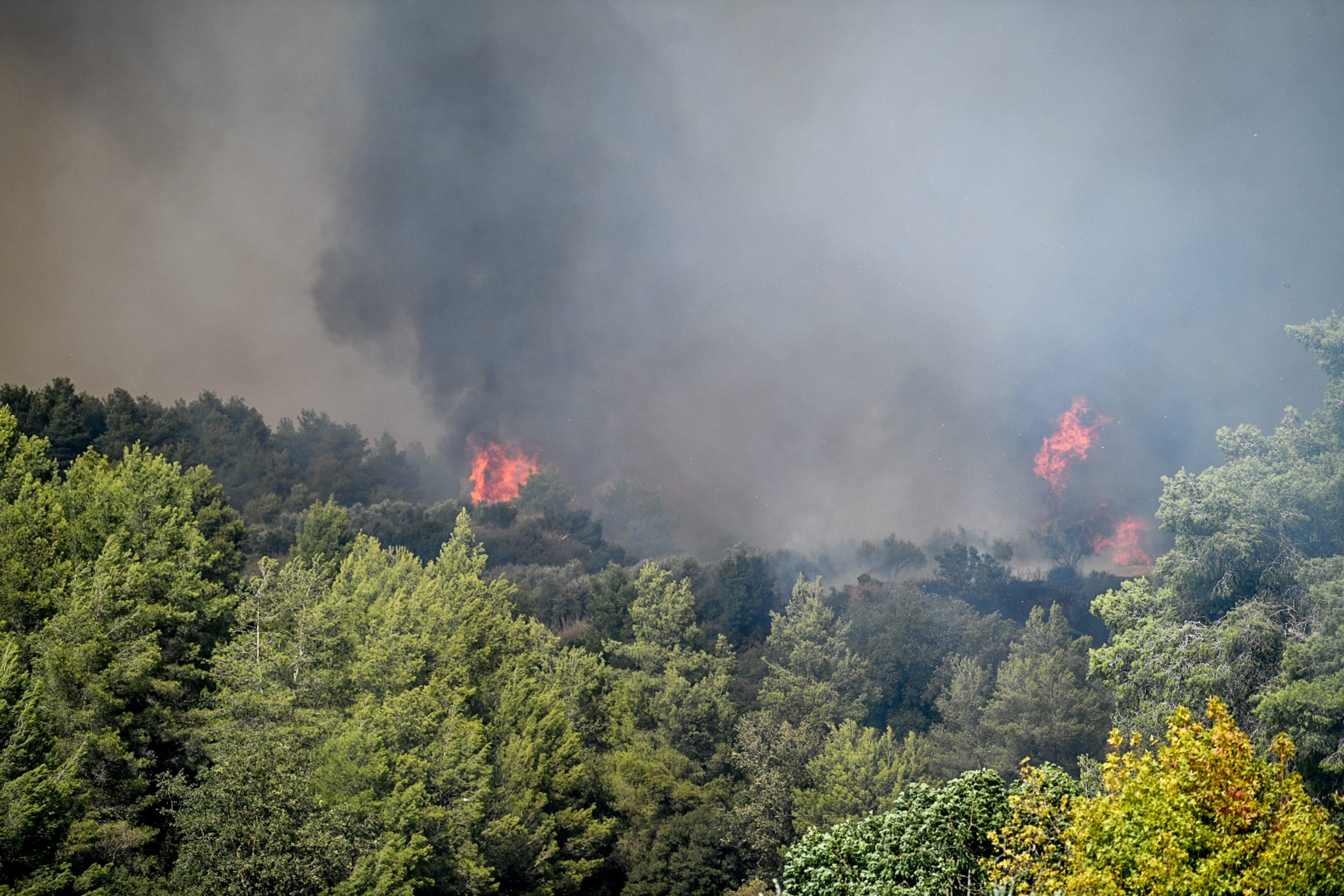 Βελτίωση της κατάστασης στη δασική πυρκαγιά στο Γεράκι Ηλείας