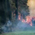 Βροχοπτώσεις και Πυροσβεστικές Δυνάμεις Συνεργάζονται για τον Έλεγχο των Φωτιών στην Αμαλιάδα