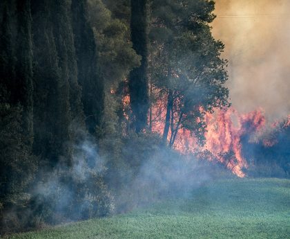 Βροχοπτώσεις και Πυροσβεστικές Δυνάμεις Συνεργάζονται για τον Έλεγχο των Φωτιών στην Αμαλιάδα