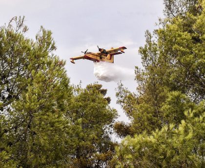 Φωτιά σε αγροτοδασική περιοχή στη Φθιώτιδα κινητοποιεί ισχυρές δυνάμεις πυρόσβεσης