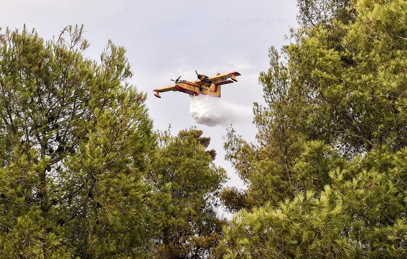 Φωτιά σε αγροτοδασική περιοχή στη Φθιώτιδα κινητοποιεί ισχυρές δυνάμεις πυρόσβεσης