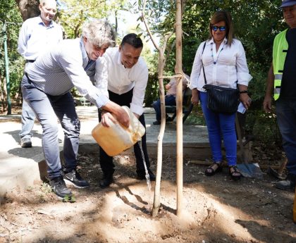 Προώθηση Πράσινης Αθήνας με Φύτευση 3000 Δέντρων το 2023