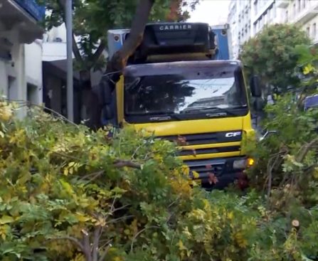 Τροχαίο ατύχημα με φορτηγό στην οδό Πατησίων και πτώση δέντρου