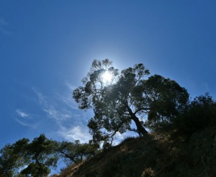 Παράταση της Ανομβρίας στη Χώρα τη Νέα Εβδομάδα